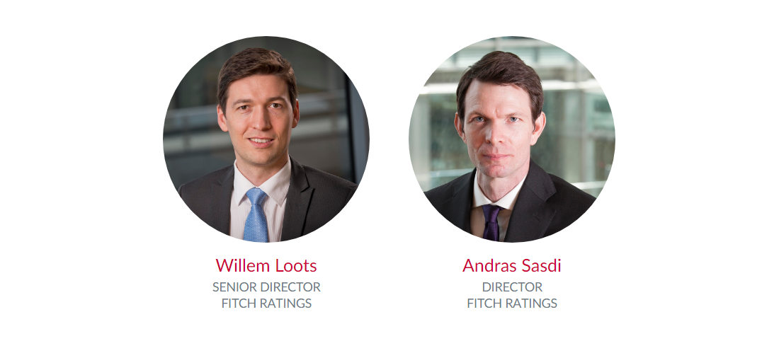 Fitch Ratings Insurance Insights Series 2021: Dutch Life & Non-Life Insurance