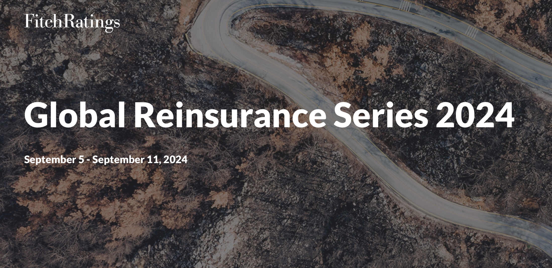 Fitch Ratings Global Reinsurance Series 2024