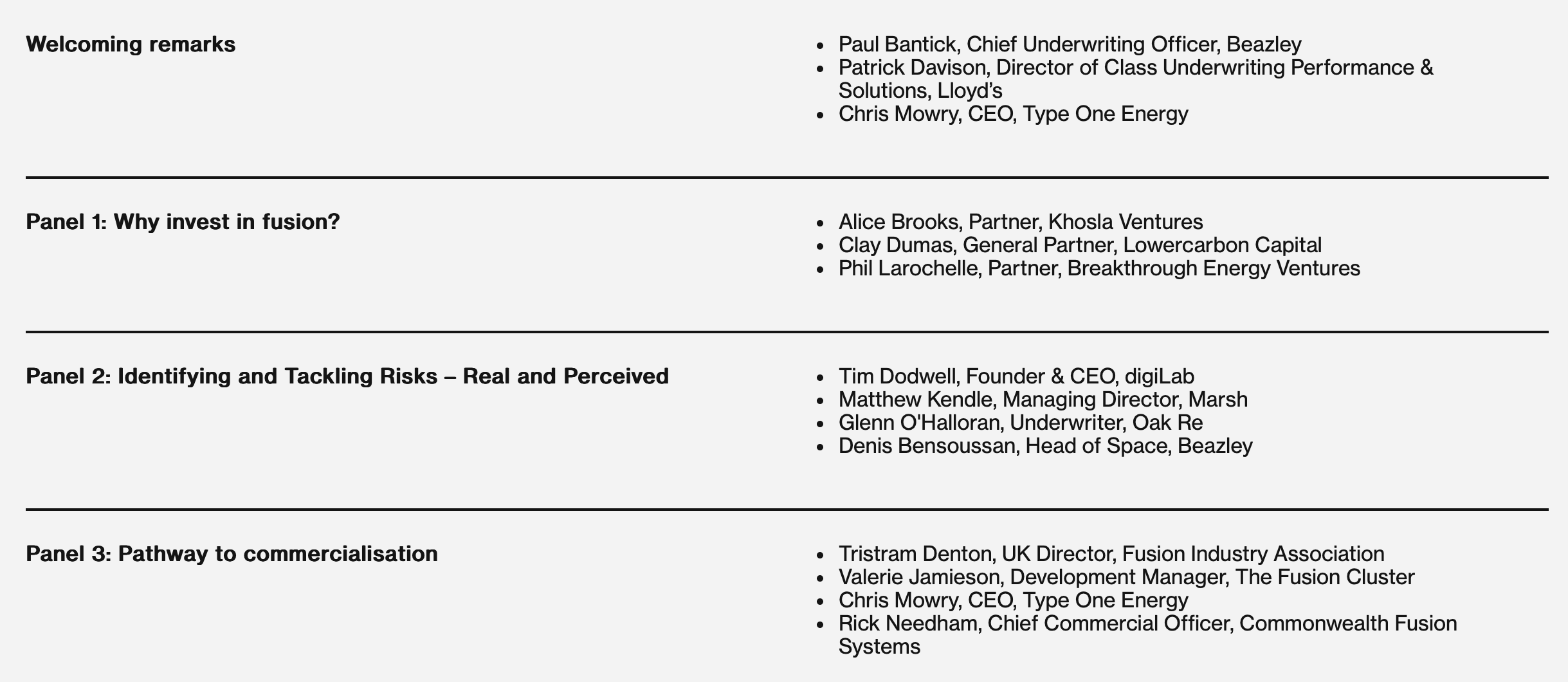 Fusion energy: Why now and how to address risks for scalable growth 2025